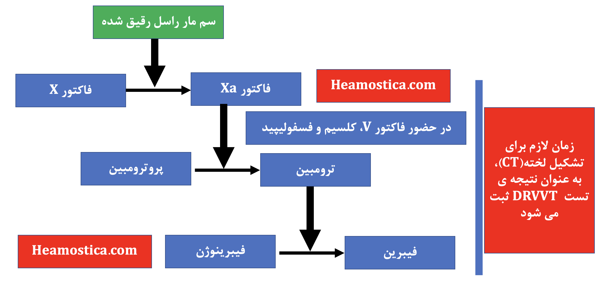 Drvvt Method آزمایش DRVVT چیست؟ روش انجام، تفسیر و کاربرد در تشخیص APS و LA