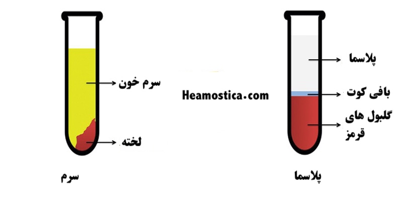 تفاوت سرم و پلاسما