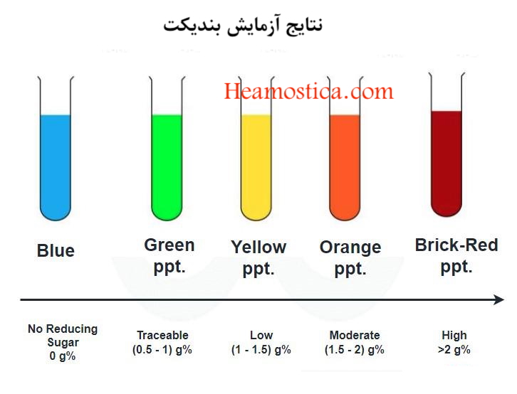 آزمایش بندیکت