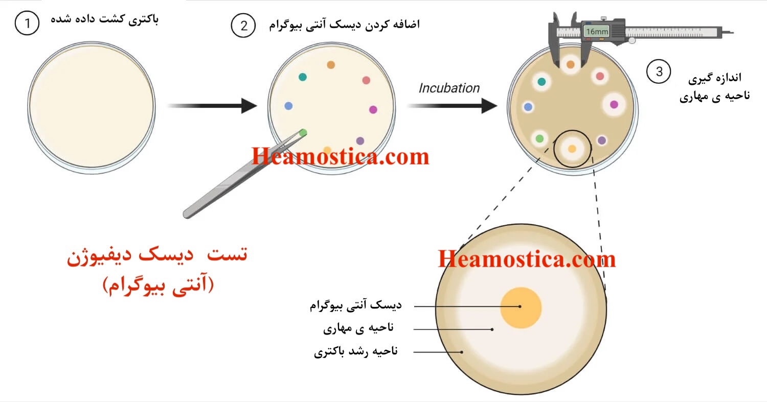 دیسک آنتی بیوگرام(تست دیسک دیفیوژن)