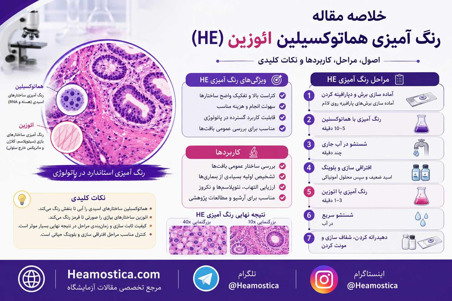 رنگ آمیزی هماتوکسیلین ائوزین