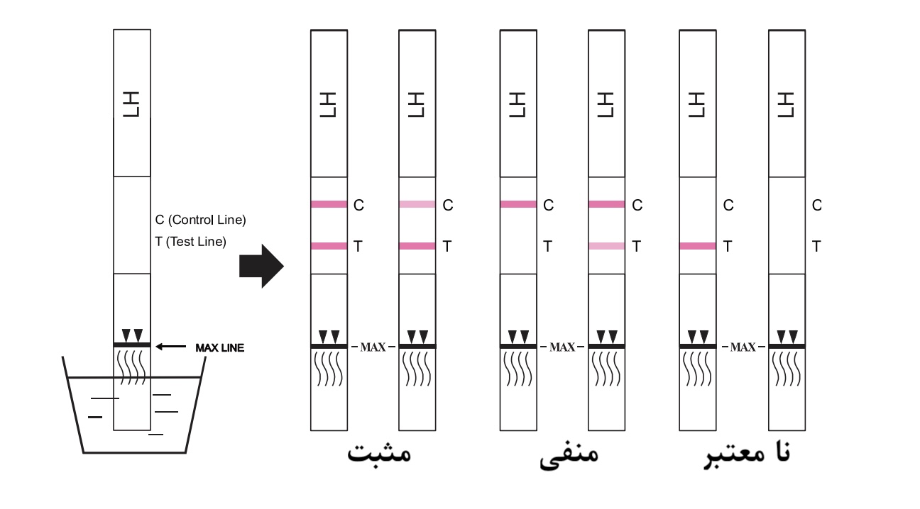 روش استفاده از کیت تخمک گذاری