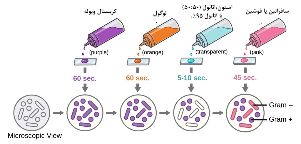 روش کار رنگ آمیزی گرم