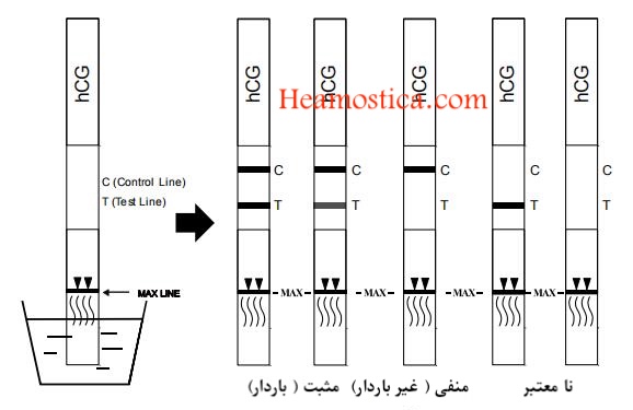 سریع ترین تست بارداری