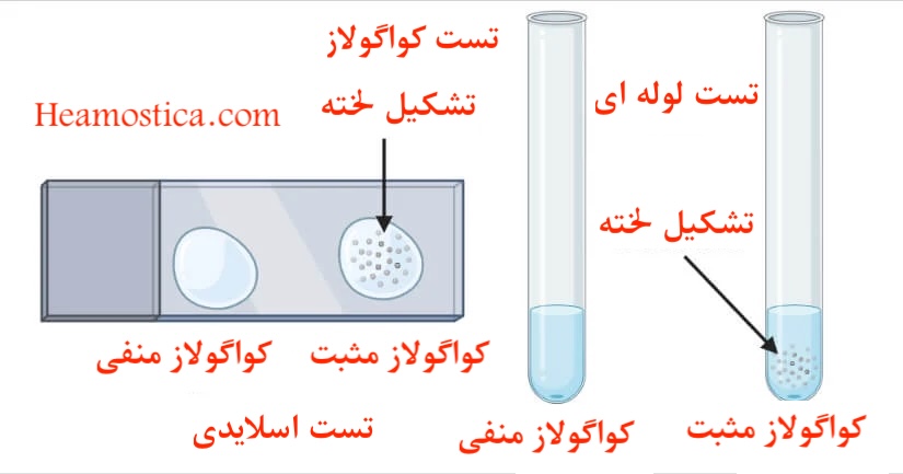 کنترل کیفی تست کواگولاز