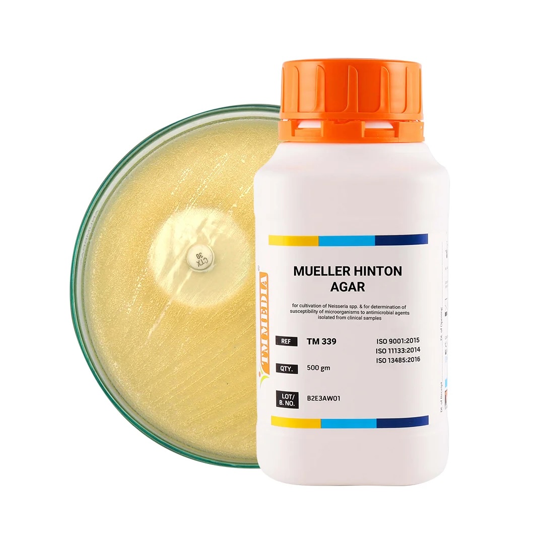 Quality control of Mueller-Hinton medium 