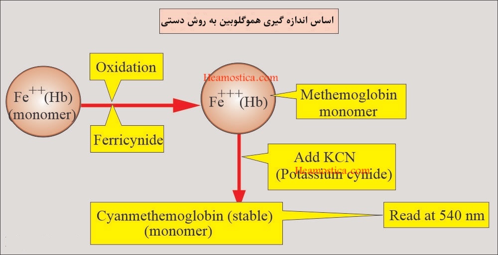 اندازه گیری هموگلوبین به روش دستی