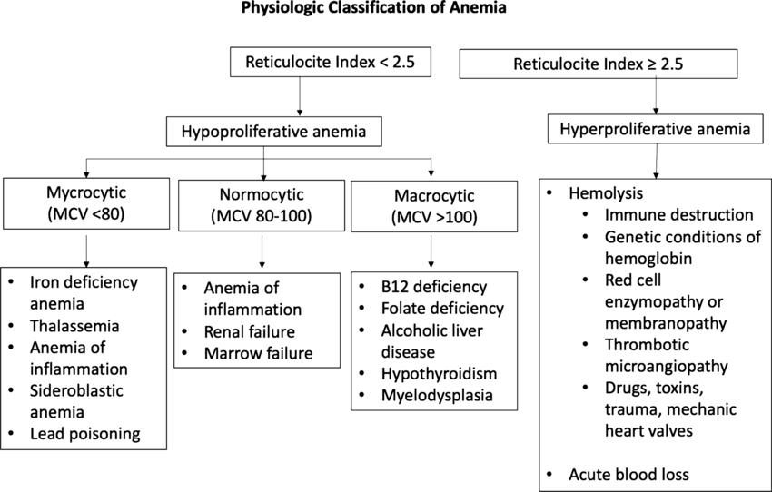 طبقه بندی آنمی ها