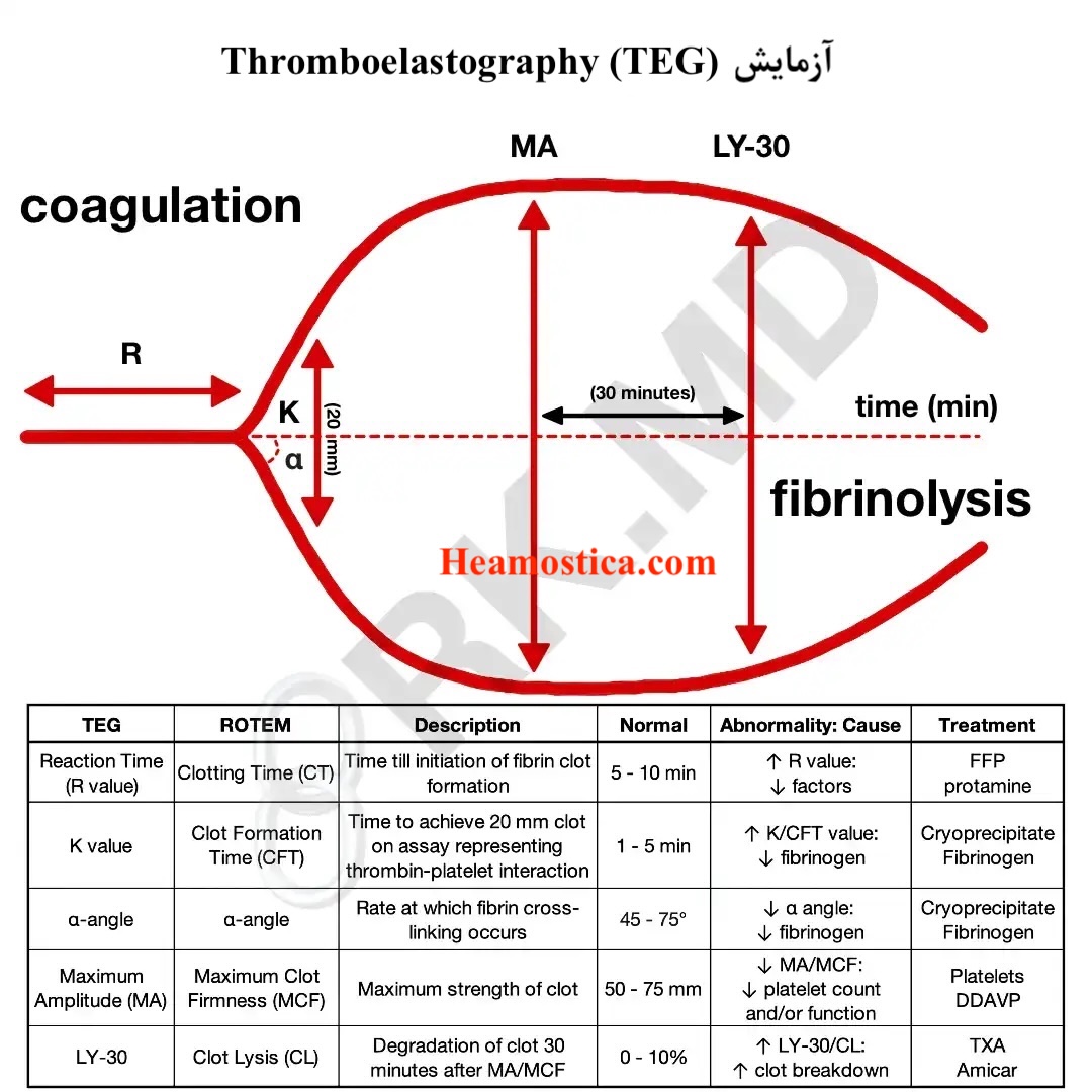 آزمایش TEG و ROTEM