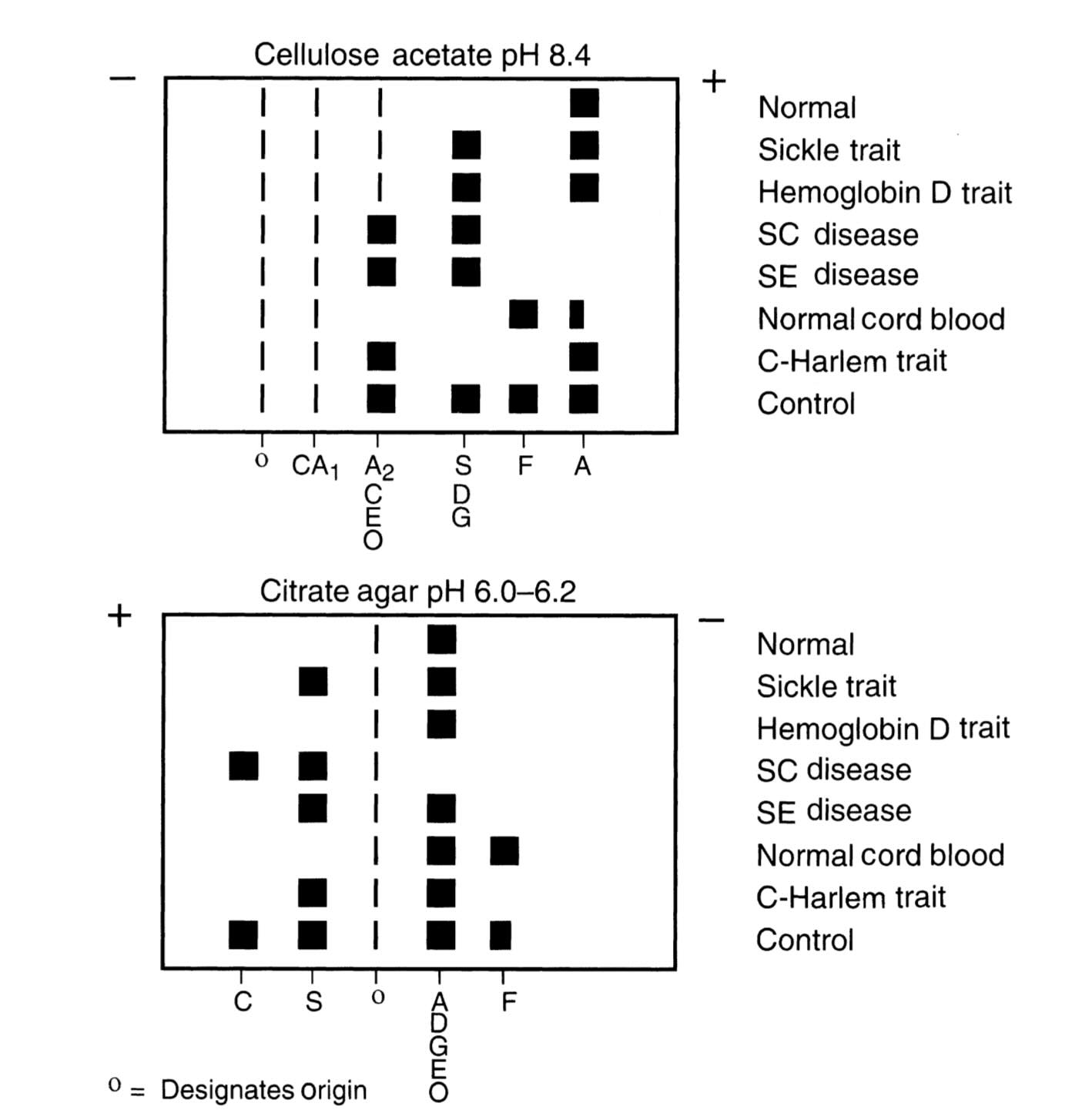 روش انجام الکتروفورز هموگلوبین