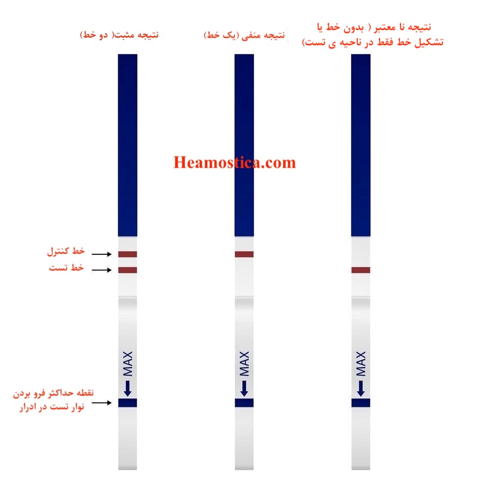 عکس نتیجه مثبت بی بی چک