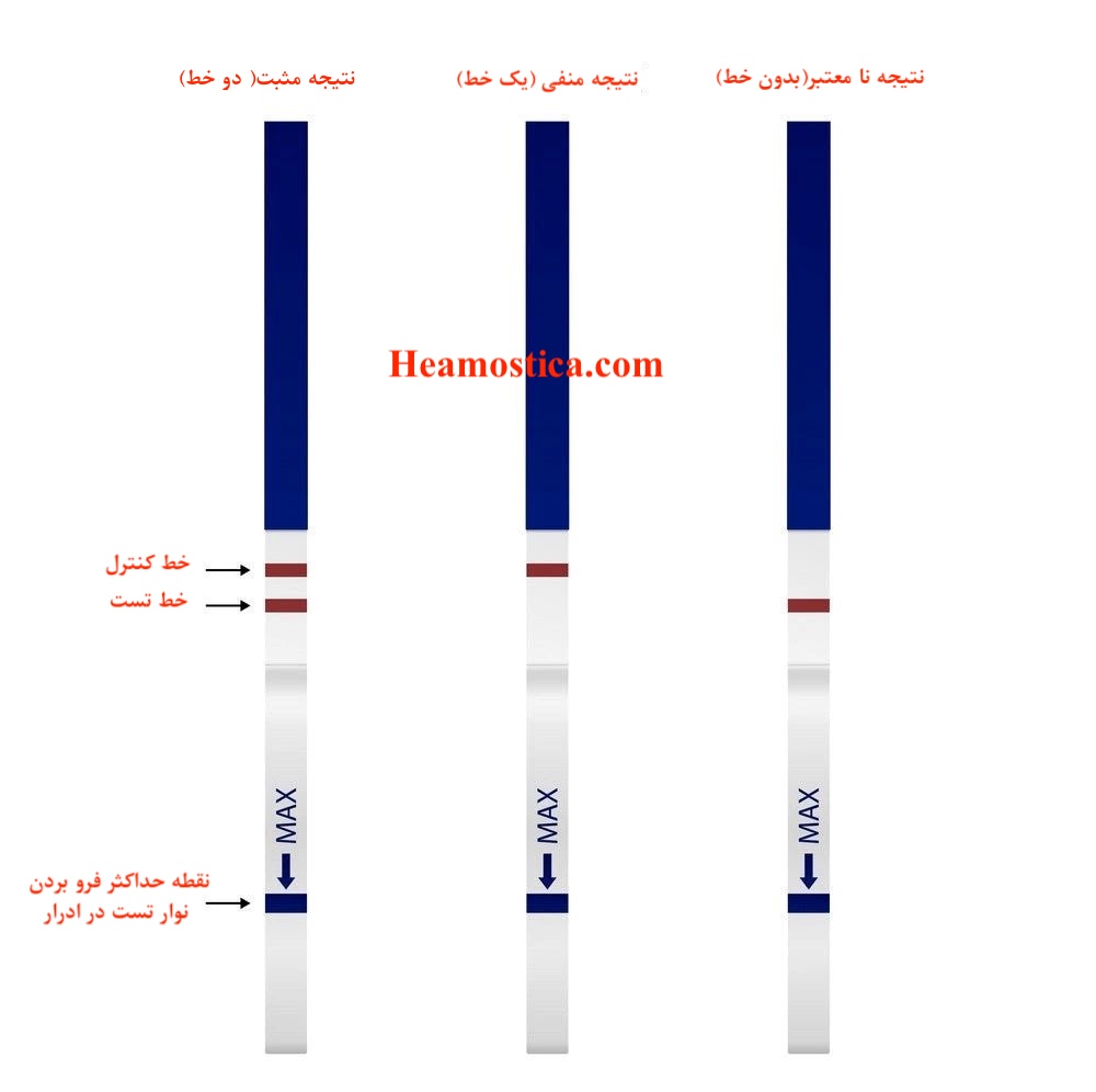 عکس نتیجه مثبت بیبی چک
