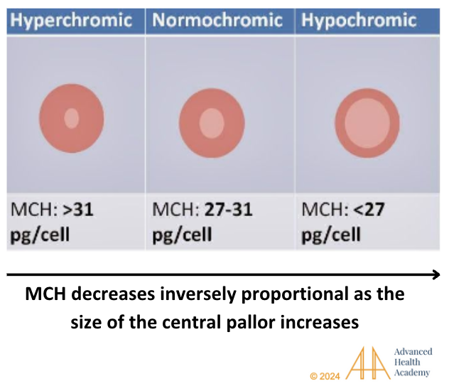 میزان نرمال MCV و MCH