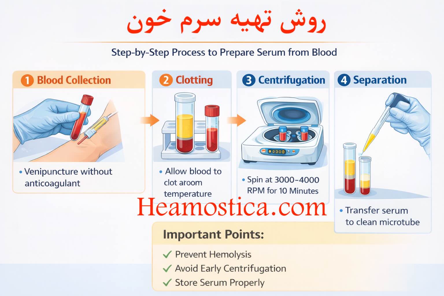 روش تهیه سرم خون