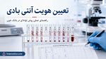تعیین هویت آنتی بادی