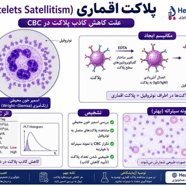 پلاکت اقماری