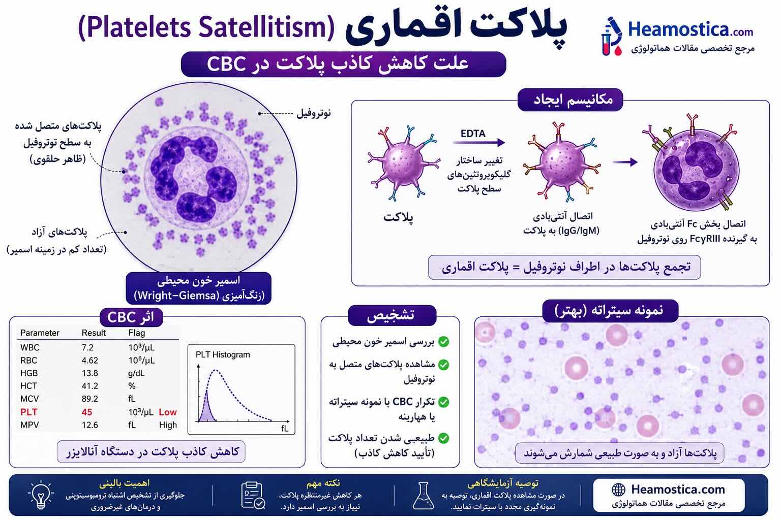 پلاکت اقماری