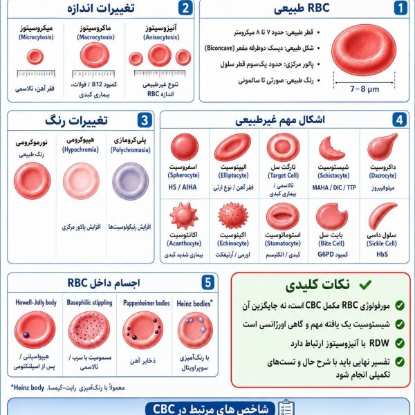 مورفولوژی گلبول قرمز
