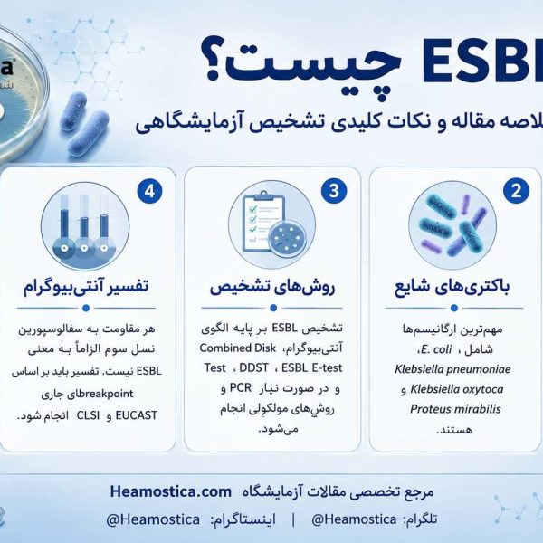 ESBL