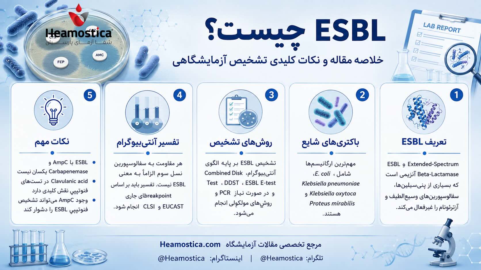 ESBL
