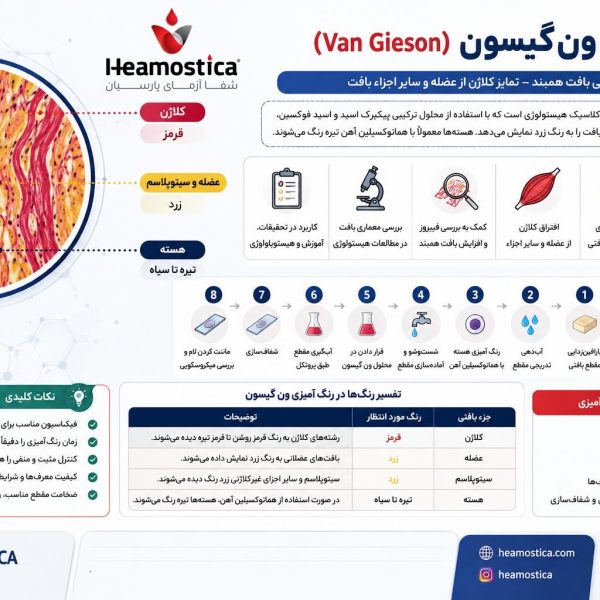 رنگ آمیزی ون گیسون
