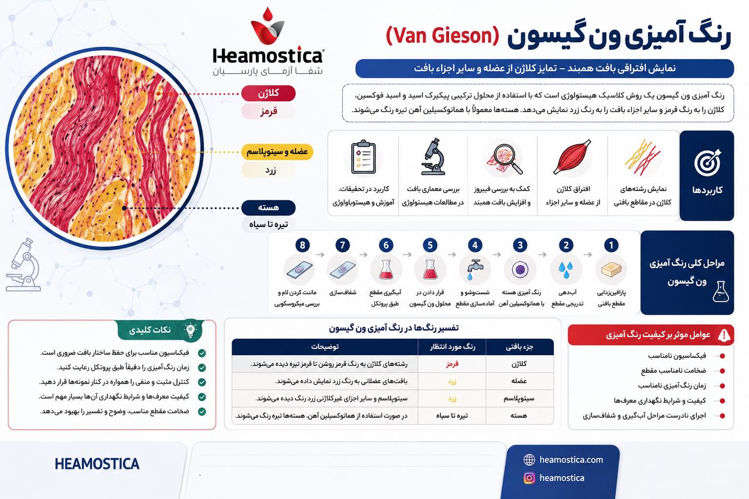رنگ آمیزی ون گیسون