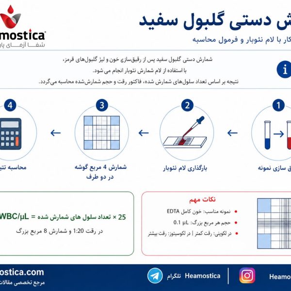 شمارش دستی گلبول سفید