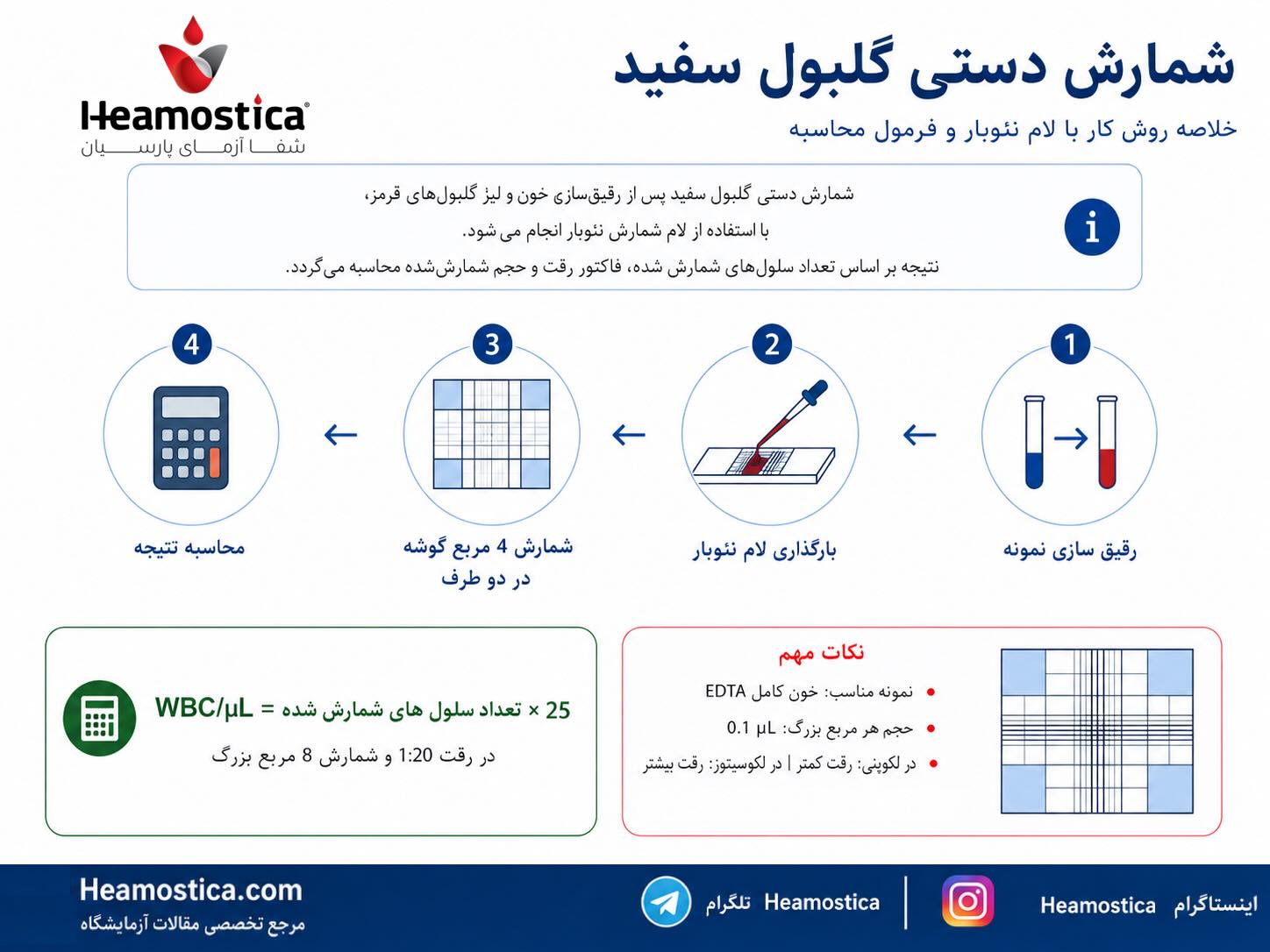 شمارش دستی گلبول سفید