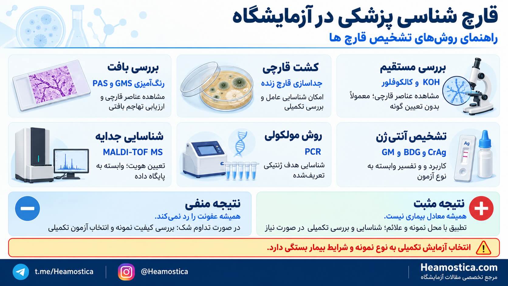 آزمایشگاه قارچ شناسی