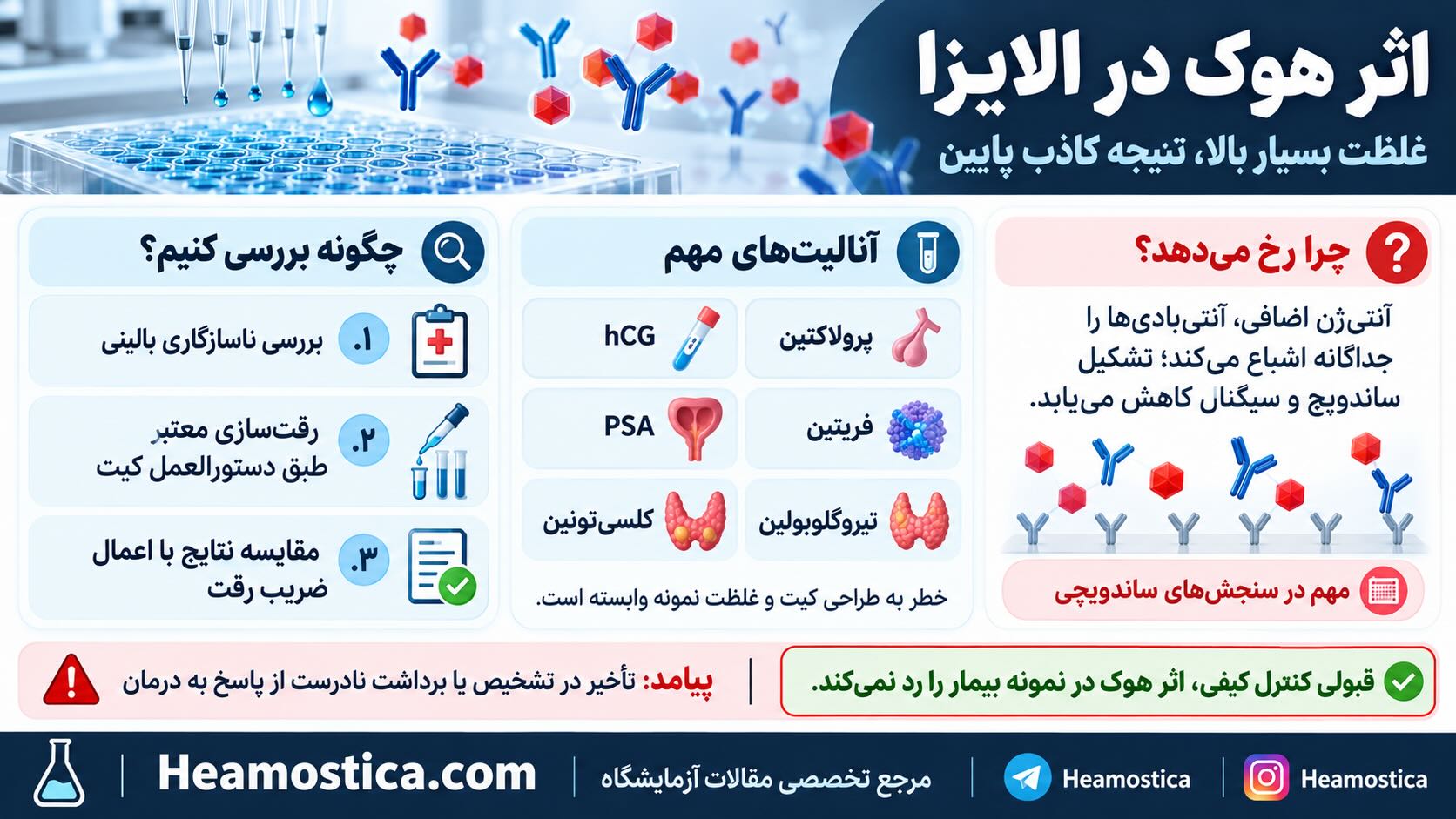 اثر هوک در الايزا