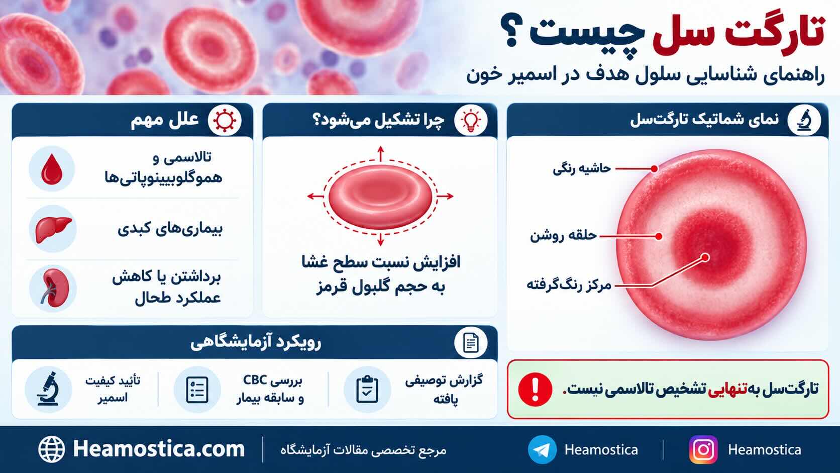 تارگت سل چیست